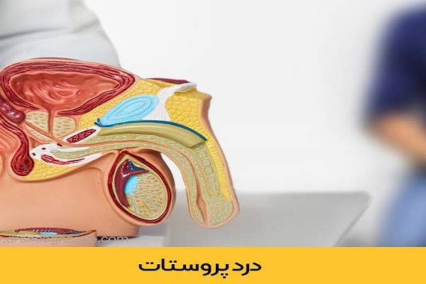 پروستات